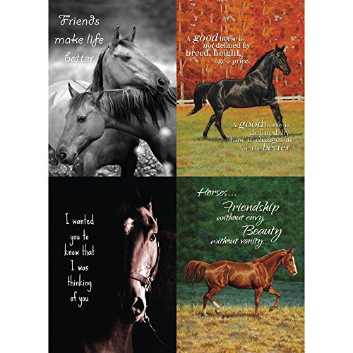 Tree-Free Greetings Horse Lovers Friendship Card Assortment, 5 x 7 Inches, 8 Cards and Envelopes per Set (GA31615)