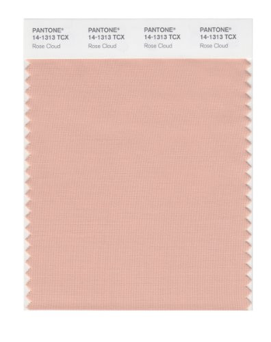 PANTONE Smart 14-1313X Color Swatch Card, Rose Cloud
