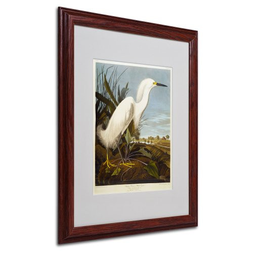 Snowy Heron Matted Artwork by John James Audubon with Wood Frame, 16 by 20-Inch