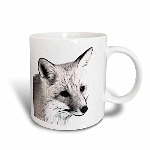 3dRose mug_9253_3 Fox B-W Magic Transforming Mug, 11-Ounce