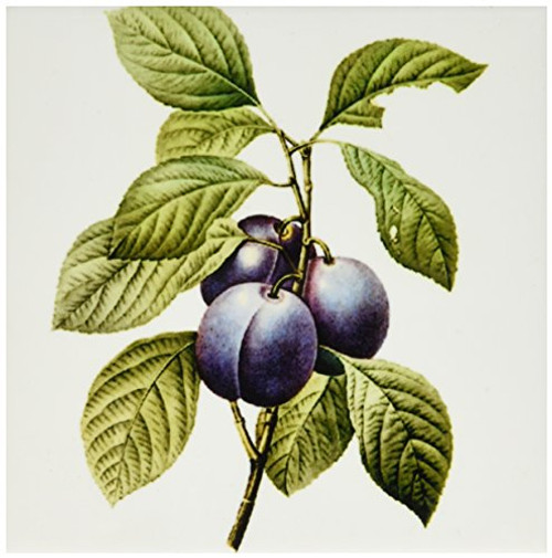 3dRose ct_106855_2 Redoute Vintage Watercolor Fruit Garden Plums Prunus Domestica-Ceramic Tile, 6-Inch
