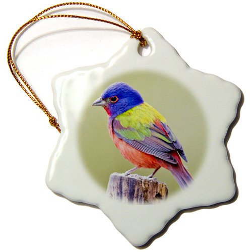 3dRose ORN_147129_1 Painted Bunting Male Bird Perched Us44 Ldi1047 Larry Ditto Snowflake Ornament, Porcelain, 3-Inch 3dRose ORN_147129_1 Painted Bunting Male Bird Perched Us44 Ldi1047 Larry Ditto Snowflake Ornament, Porcelain, 3-Inch