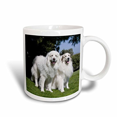 3dRose Two Pyrenees dogs in California Mug, 15 oz, Ceramic