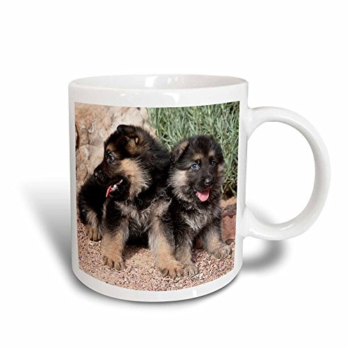 3dRose 140447_3 Two German Shepherd puppy dogs Mug, 11-Ounce