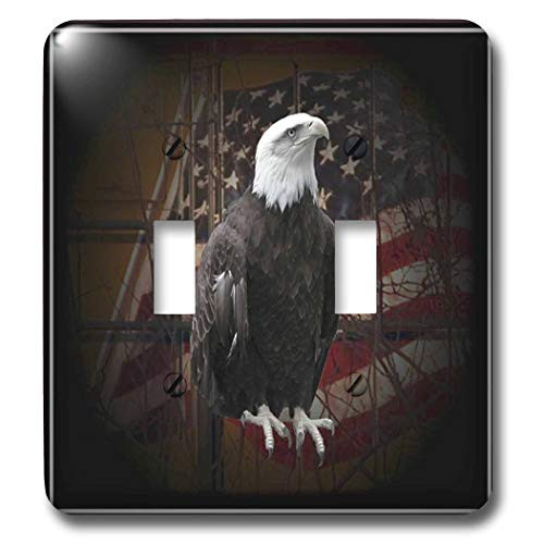 3D Rose lsp_11602_2 Bald Eagle with American Flag Wall plates