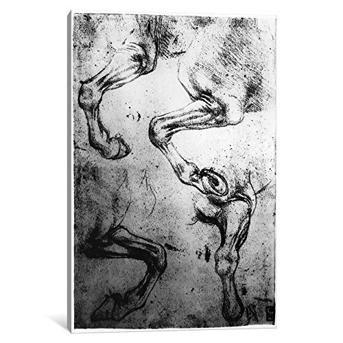 iCanvasART 1-Piece Studies of Horses Legs Canvas Print by Leonardo da Vinci, 18" x 12"/0.75" Deep