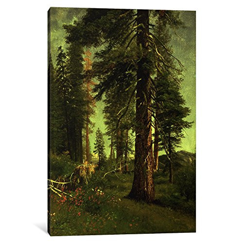 iCanvasART 1-Piece California Redwoods Canvas Print by Albert Bierstadt, 12" x 8"/0.75" Deep