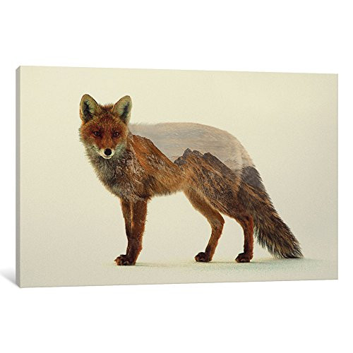 iCanvasART ALE12-1PC6-18x12 iCanvas Mountain Fox Print by Andreas Lie, 18" x 12"