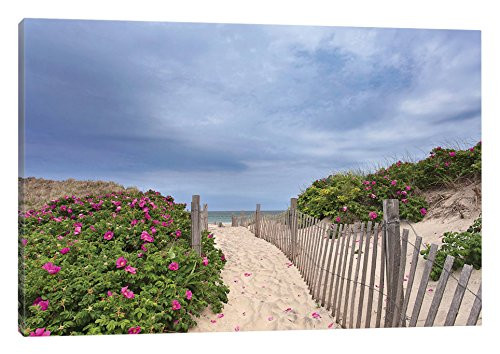 iCanvasART Rose Path Canvas Print by Katherine Gendreau, 18" x 12"