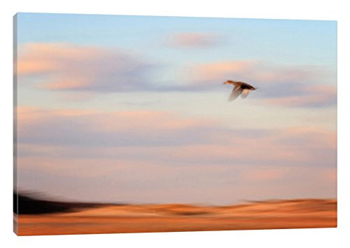 iCanvasART Flight Canvas Print by Katherine Gendreau, 18" x 12"