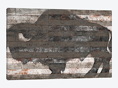iCanvasART Buffalo II by Diego Tirigall Canvas Print, 18" x 12"