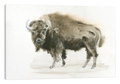 iCanvasART Buffalo Bill Canvas Print by James Wiens, 18" x 12"