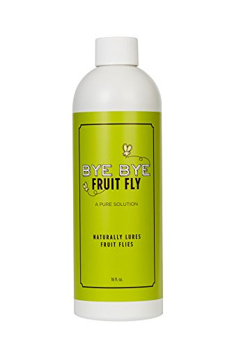 Bye Bye Fruit Fly, Natural Fruit Fly Trap, Lures Kitchen Pests