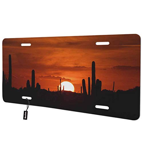 Beabes Saguaro Cactus Arizona Sunset Front License Plate Cover,Beautiful Scenery Cloud Summer Landscape Nature Decorative License Plates for Car,Novel