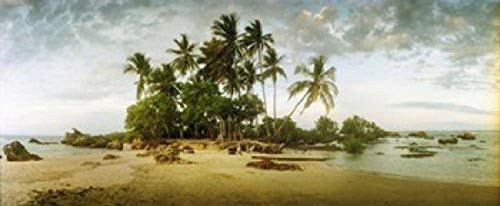 Posterazzi PPI149574S Palm trees on the beach in Morro De Sao Paulo Tinhare Cairu Bahia Brazil Poster Print, 15 x 6