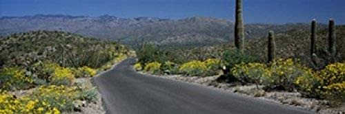 Posterazzi PPI127027S Road passing through a landscape Saguaro National Park Tucson Pima County Arizona USA Poster Print, 18 x 6 Posterazzi PPI127027S Road passing through a landscape Saguaro National Park Tucson Pima County Arizona USA Poster Print, 18 x 6
