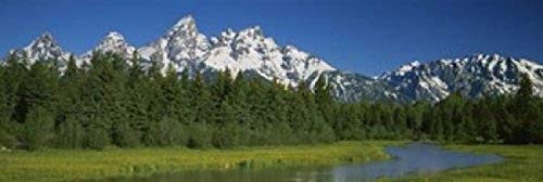 Posterazzi PPI53998S Trees along a river Near Schwabachers Landing Grand Teton National Park Wyoming USA Poster Print, 18 x 6 Posterazzi PPI53998S Trees along a river Near Schwabachers Landing Grand Teton National Park Wyoming USA Poster Print, 18 x 6