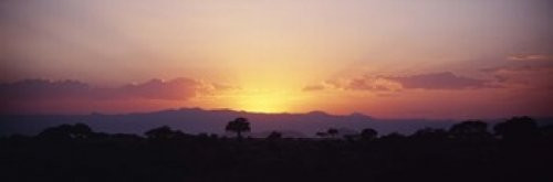 Posterazzi Sunset over a landscape Tarangire National Park Tanzania Poster Print, (18 x 6)
