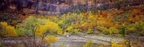 Posterazzi Big Bend in Fall Zion National Park Utah USA Poster Print, (18 x 6), Varies