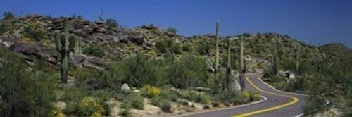 Posterazzi Road Through The Desert Phoenix Arizona USA Poster Print, (18 x 6)