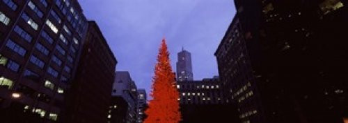 Posterazzi Low angle view of a Christmas tree San Francisco California USA Poster Print, (18 x 7)