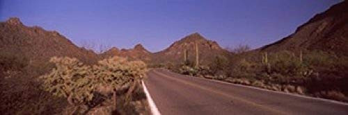Posterazzi PPI127388S Road passing through a landscape Saguaro National Park Tucson Pima County Arizona USA Poster Print, 18 x 6 Posterazzi PPI127388S Road passing through a landscape Saguaro National Park Tucson Pima County Arizona USA Poster Print, 18 x 6