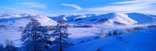 Posterazzi Snow covered winter Manor Valley Scottish Borders Scotland Poster Print, (18 x 6) Posterazzi Snow covered winter Manor Valley Scottish Borders Scotland Poster Print, (18 x 6)