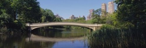 Posterazzi Bridge across a lake Central Park City New York State USA Poster Print, (18 x 6)