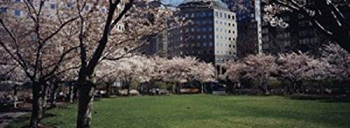 Posterazzi PPI92668S Trees Central Park Manhattan City New York State USA Poster Print, 18 x 7 Posterazzi PPI92668S Trees Central Park Manhattan City New York State USA Poster Print, 18 x 7