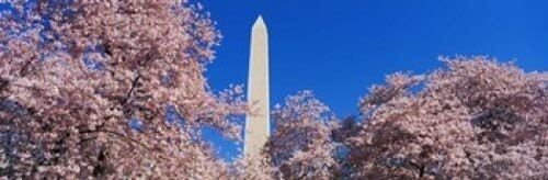 Posterazzi Cherry Blossoms Washington Monument Poster Print, (18 x 6)