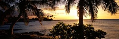 Posterazzi Kohala Coast Hawaii USA Poster Print, (18 x 6)