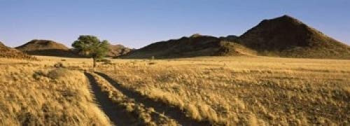 Posterazzi Trails passing through a desert Namibia Poster Print, (18 x 7)