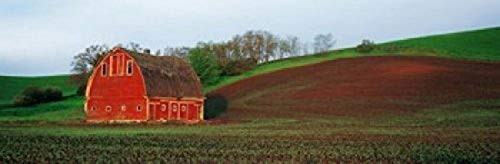 Posterazzi PPI131050S Barn in a field at sunset Palouse Whitman County Washington State USA Poster Print, 18 x 6