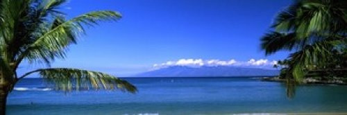 Posterazzi Palm trees Kapalua Beach Molokai Maui Hawaii USA Poster Print, (18 x 6)