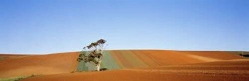 Posterazzi Australia Poster Print, (18 x 6)