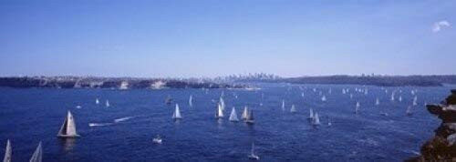 Posterazzi Yachts in the bay Harbor Sydney New South Wales Australia Poster Print, (18 x 7)