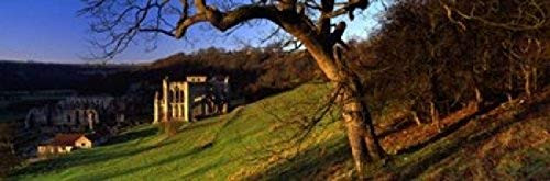 Posterazzi PPI93284S Church On A Landscape Rievaulx Abbey North Yorkshire England United Kingdom Poster Print, 18 x 6