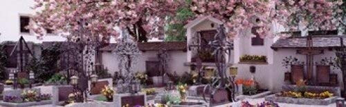 Posterazzi Flowers on tombstones Tirol Austria Poster Print, (18 x 6)