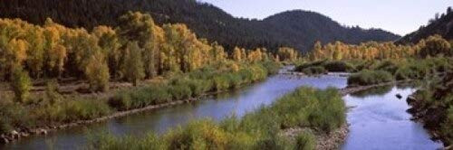 Posterazzi River flowing through a forest Jackson Hole Teton County Wyoming USA Poster Print, (18 x 6) Posterazzi River flowing through a forest Jackson Hole Teton County Wyoming USA Poster Print, (18 x 6)