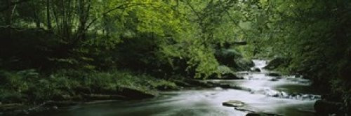 Posterazzi River flowing in the forest Aberfeldy Perthshire Scotland Poster Print, (18 x 6) Posterazzi River flowing in the forest Aberfeldy Perthshire Scotland Poster Print, (18 x 6)