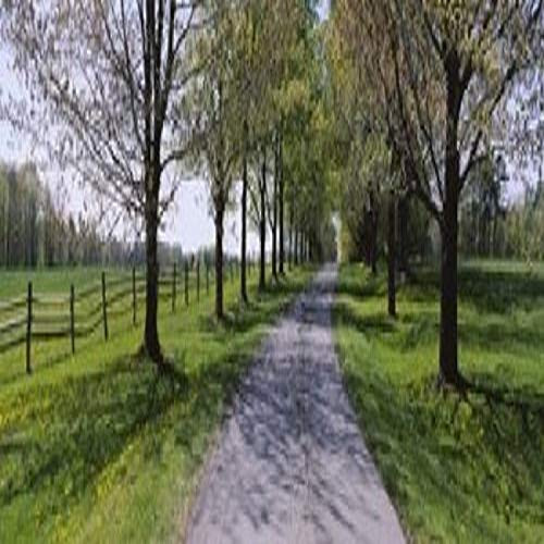 Posterazzi Road passing Knox Farm Park East Aurora New York State USA Poster Print, (18 x 7) Posterazzi Road passing Knox Farm Park East Aurora New York State USA Poster Print, (18 x 7)