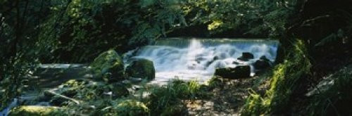 Posterazzi Waterfall in the forest Birks O' Aberfeldy Perthshire Scotland Poster Print, (18 x 6)