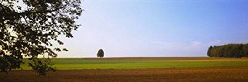 Posterazzi PPI93648S Tree in a field Germany Poster Print, 18 x 6