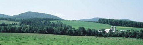 Posterazzi Farm In A Field Danville Vermont USA Poster Print, (18 x 6)
