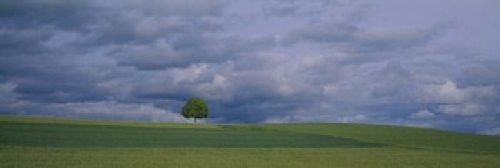 Posterazzi Storm clouds over a field Zurich Canton Switzerland Poster Print, (18 x 6)