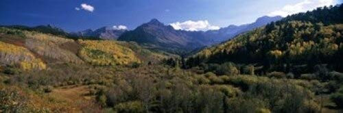 Posterazzi Trees on mountains State Highway 62 Ridgway Colorado USA Poster Print, (18 x 6)