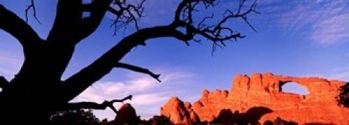 Skyline Arch Arches National Park Utah USA Poster Print (18 x 7)