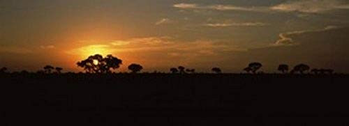 Posterazzi PPI134351S Sunset over the savannah plains Kruger National Park South Africa Poster Print, 18 x 7