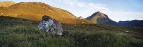 Posterazzi Lichen covered rock in a field Glen Sligachan Cuillins Isle Of Skye Scotland Poster Print, (18 x 6)