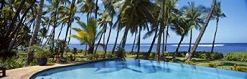 Posterazzi PPI127277S Palm trees near a swimming pool Maui Hawaii USA Poster Print, 18 x 6